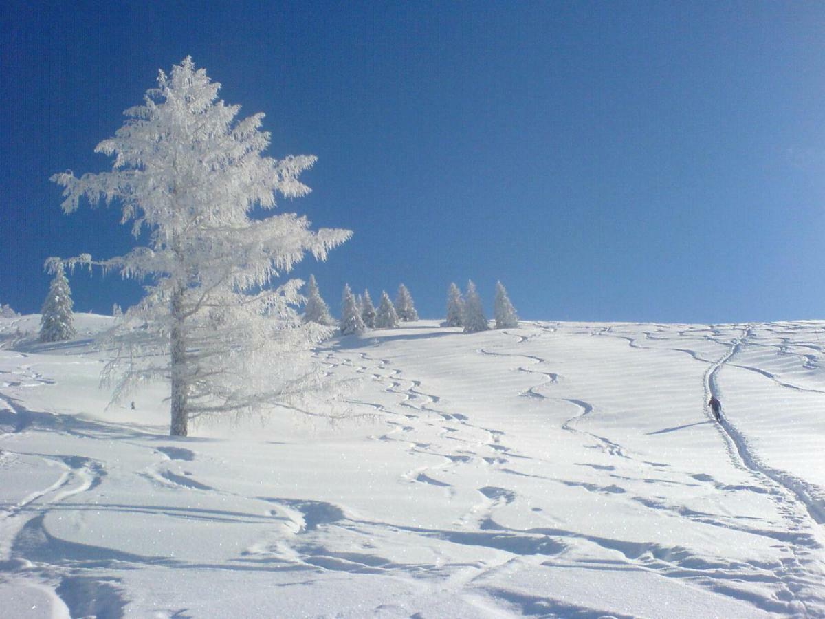 Pension Bacherhof มาริอัปฟาร์ ภายนอก รูปภาพ